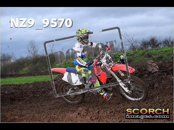 Intermediates-255