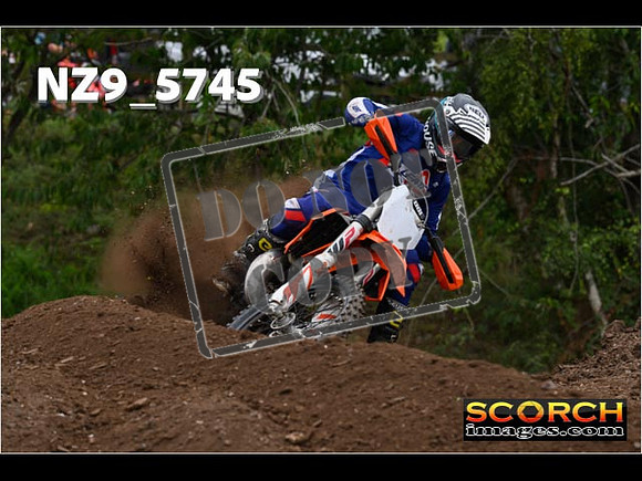 Experts-215