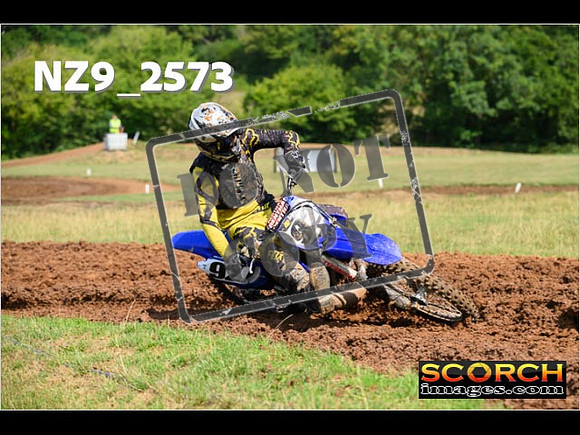 Experts-134