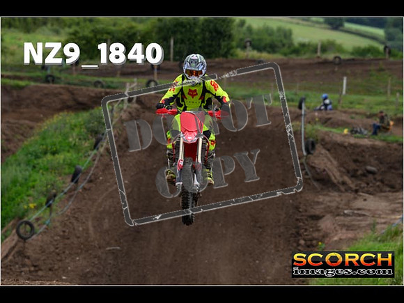 IntersGreenOrange-093