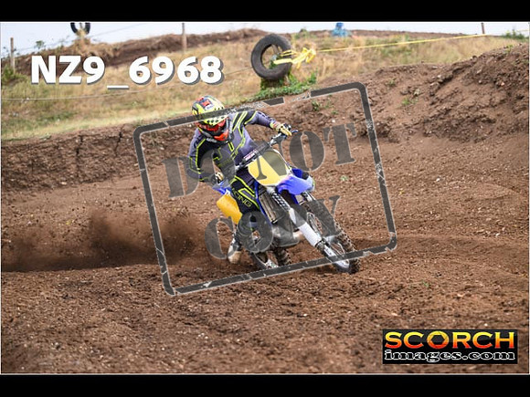 Experts-073