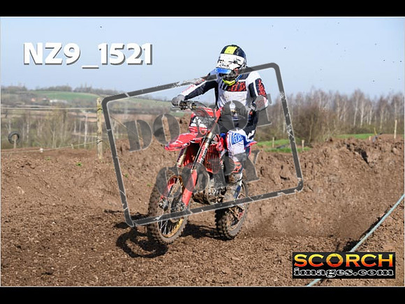 Experts-065