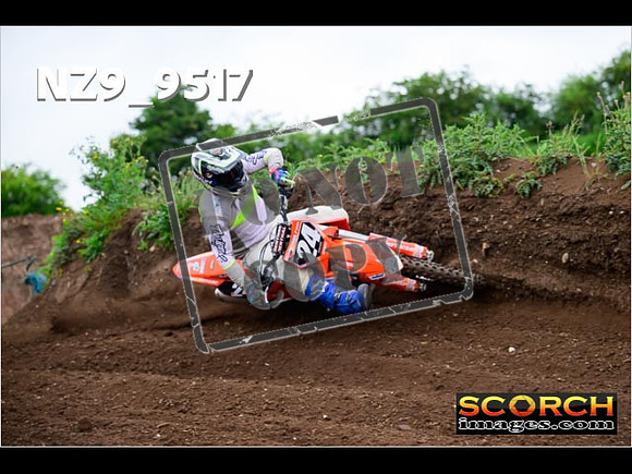 Experts-116