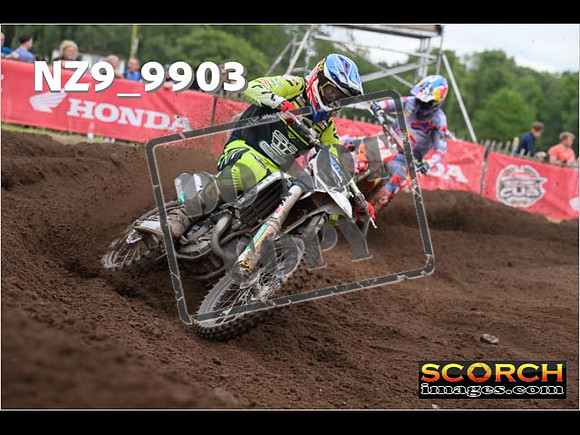 MX1-442