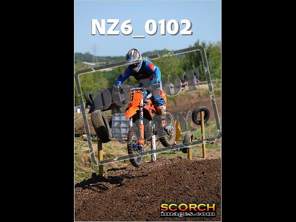 Experts-098