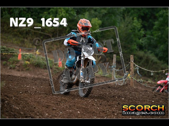 IntersGreenOrange-060