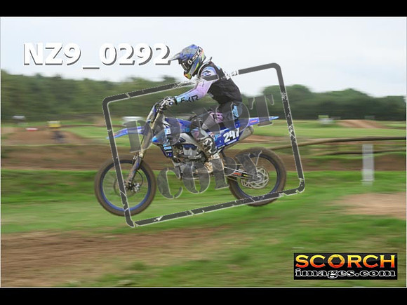 Novice-264