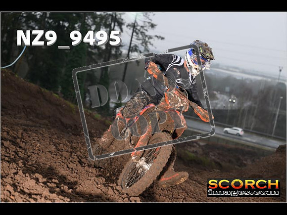 Experts-119