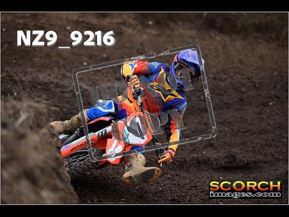 Experts-025