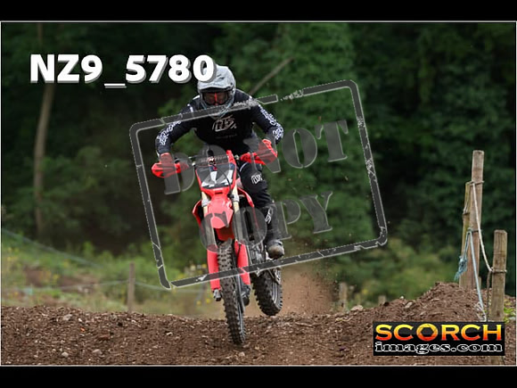 Experts-249