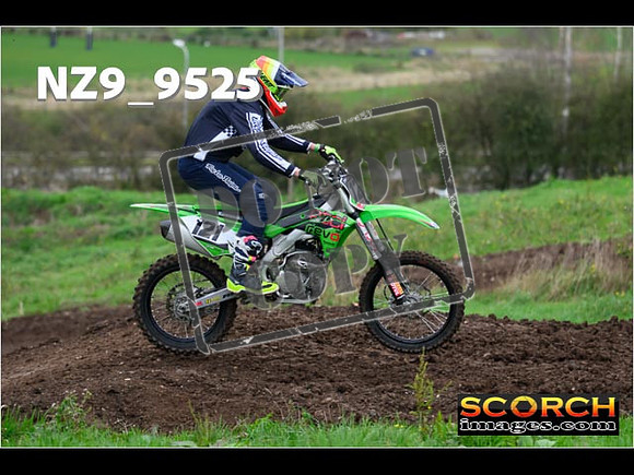 IntersGreen-066