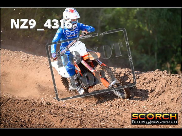 Experts-050