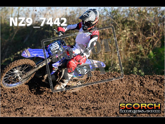 Experts-096