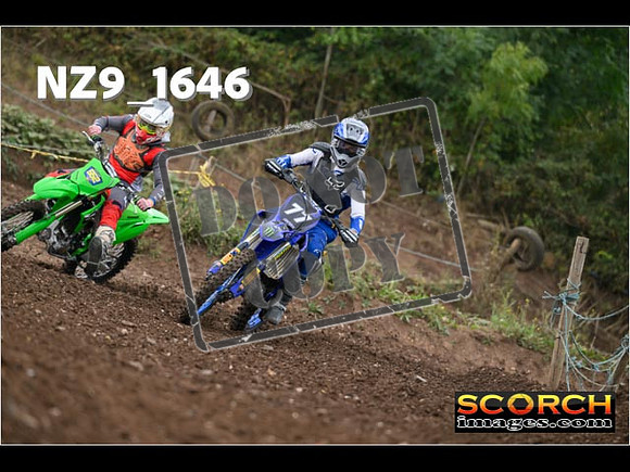 IntersGreenOrange-052