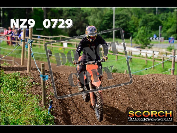 Experts-054