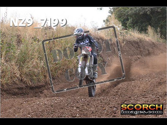 Experts-099