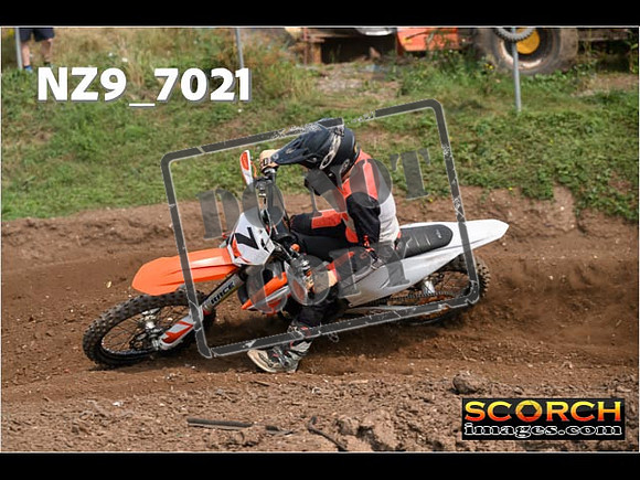 Experts-418
