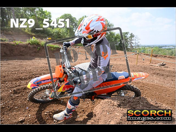 InterGreenOrange-302