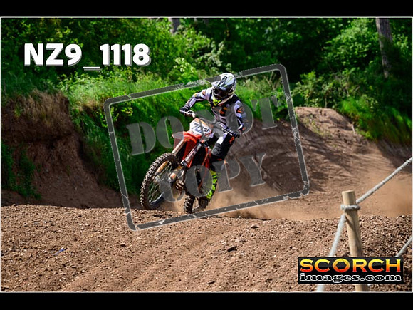 Experts-141