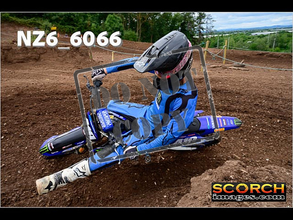 Inters Green-205
