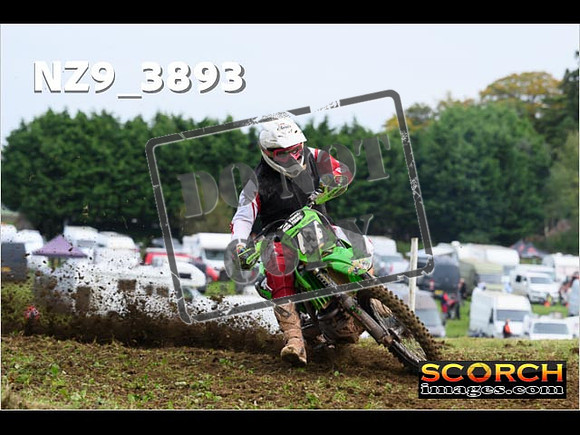 Experts-083