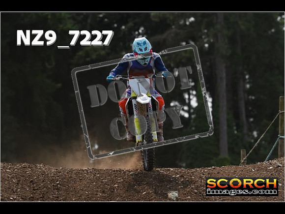 Inters Green-222