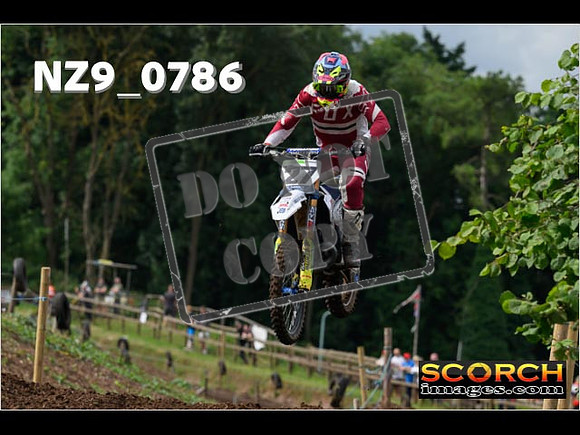 Experts-054