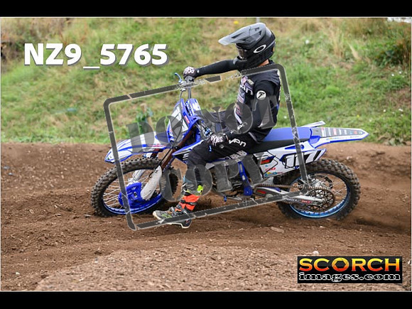 Experts-235