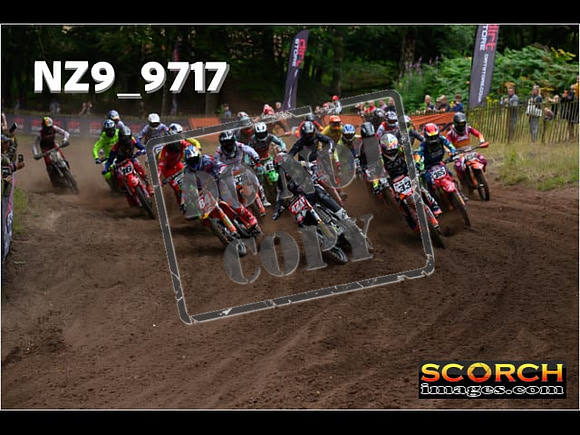 MX1-272