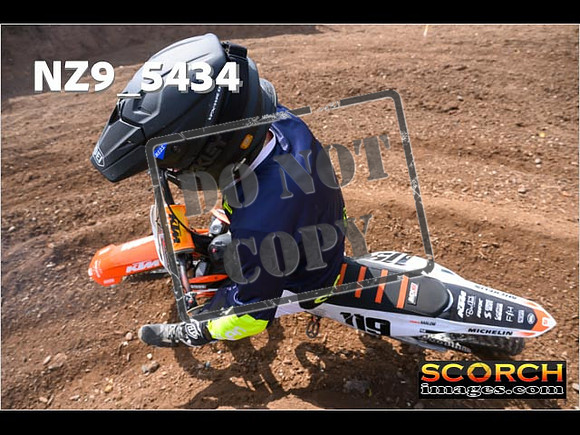 InterGreenOrange-285