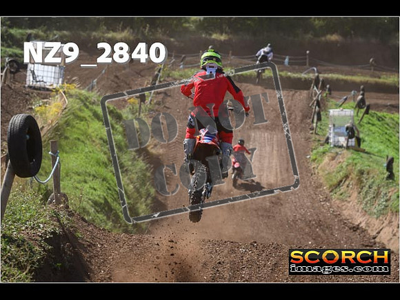 Experts-137