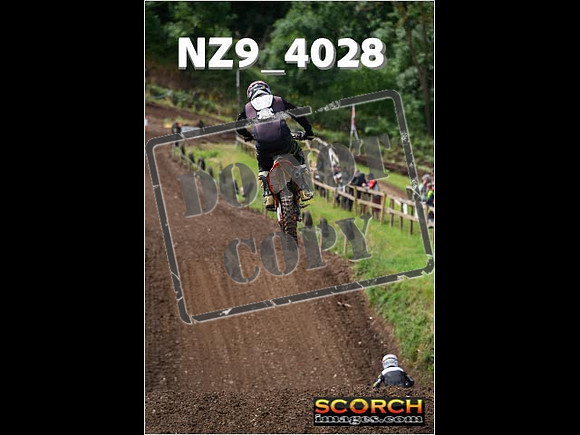Experts-134