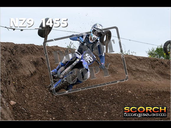 Experts-137