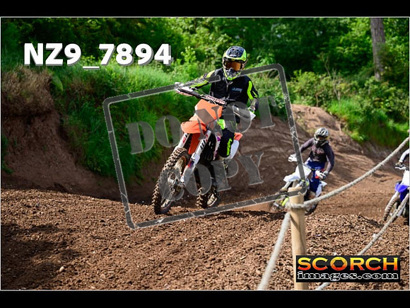 IntersGreenOrange-096