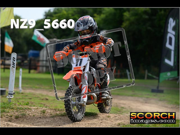 PeeWee Track-041