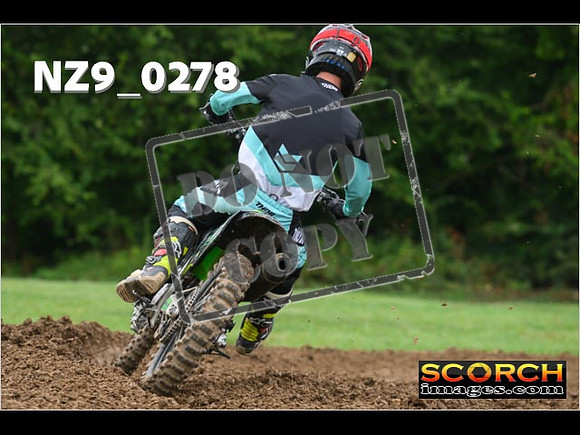 Novice-252