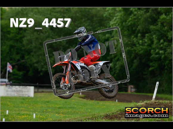 Experts-175