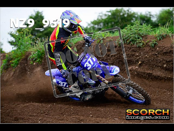 Experts-118