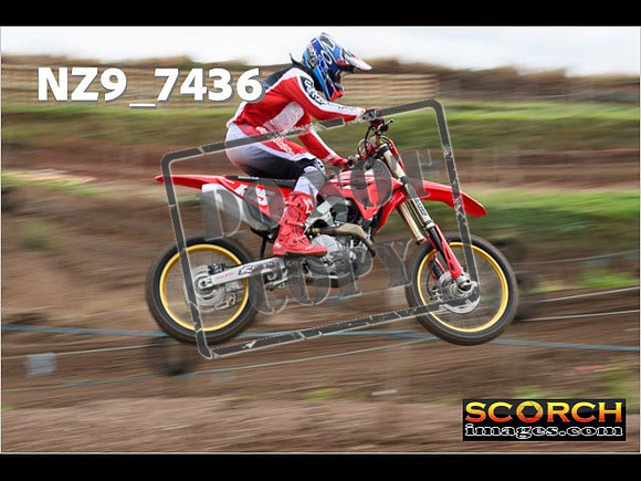 Experts-115