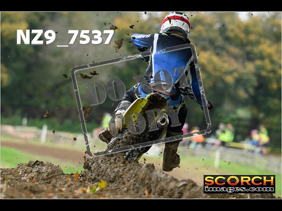 Experts-080