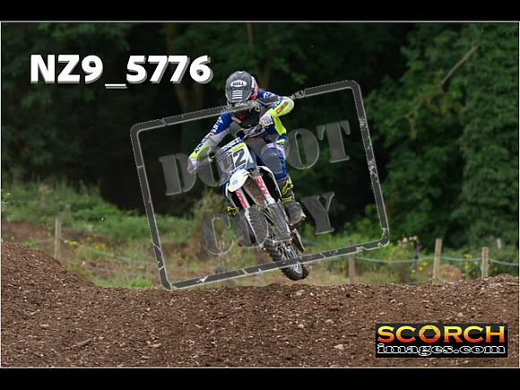 Experts-245