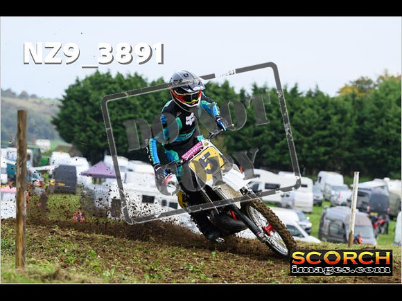 Experts-081