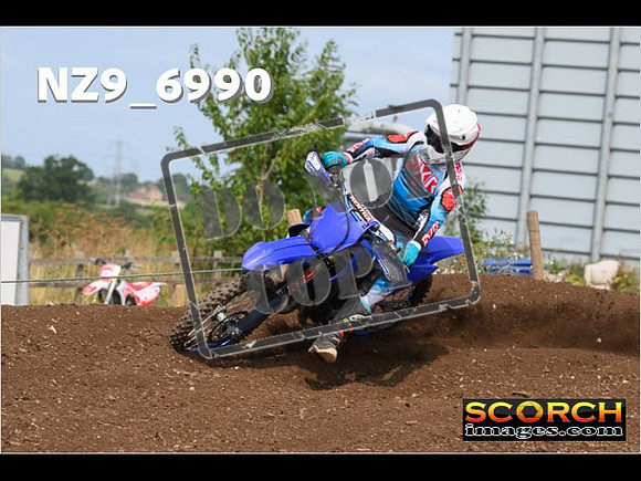 Experts-387