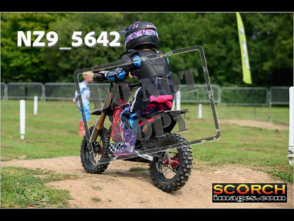 PeeWee Track-023
