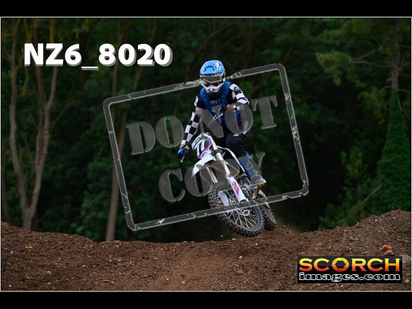 Experts-206