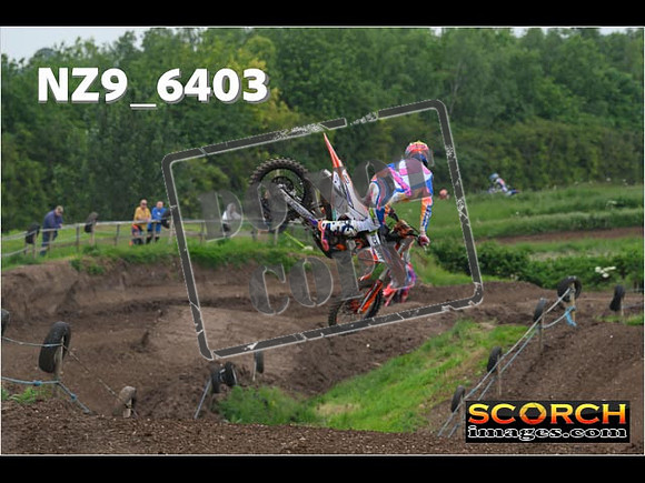 Experts-215
