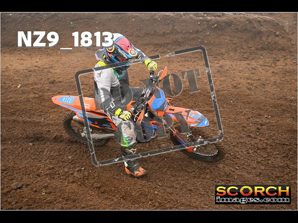 Intermediates-239