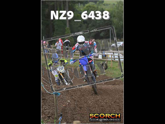 Experts-154