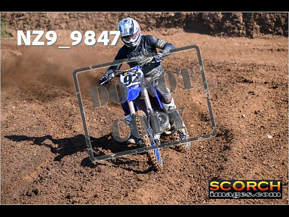 Experts-058