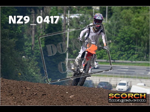 Orange Group-007